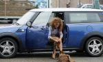 Hilversum 27 augustus 2015
Katja Schuurman met blote voeten op straat en daarna haar schoenen aandoent in haar auto.