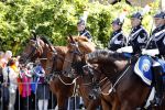 Den Haag, 19 September 2017
Prinsjesdag 2017
Koets in defile Prinsjesdag 2017