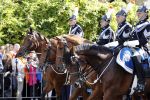 Den Haag, 19 September 2017
Prinsjesdag 2017
Koets in defile Prinsjesdag 2017