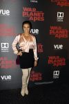 Hilversum 11 juli 2017
Premiere war of the planet of the apes in bioscoop Hilversum. Laura Ponticorvo