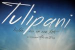 Utrecht 20 september 2017
Premiere Tulipani van Mike van Diem tijdens de filmdagen Utrecht.