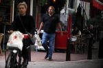 Amsterdam 29 augustus 2018
Robert jensen doet boodschappen.