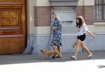 Den Haag 22 augustus 2019
Afscheidsdienst voor prinses Christina op paleis Noordeinde en de koninklijke stallen.
Aanwezig haar Kinderen Bernardo, Nicolas en Juliana alsmede prinses Beatrix prinses Irene prinses Margriet mr Pieter v Vollenhoven Koning Willem Alexander koningin Maxima prinses Mabel prins Constantijn Prinses laurentien en hun kinderen Leonore Claus Casimir Eloise   Prins Carlos  prinses Annemarie prinses Viktoria  Prins Jaime Prinses Carolina met man Albert Brenninkmeijer prinses Margarita met man Tjalling ten cate Prins floris en Prinses Aimee Prins Maurits en Prinses Marilene Prins Pieter Christiaan en Prins Bernhard jr. Prinses Christina kleindochter??