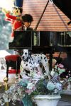 Diepenheim 24 augustus 2019
Wibi Soerjadi geeft tuinconcert in de tuin van zijn huis. Hond Wibi