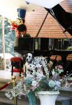 Diepenheim 24 augustus 2019
Wibi Soerjadi geeft tuinconcert in de tuin van zijn huis. Hond Wibi