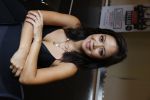 Amsterdam 20 augustus 2020
Presenatie cast Murder Ballad met o.a. Cystine Carreon