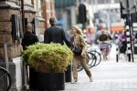 Amsterdam 28 augustus 2020
Piet Boon met zijn partner in Amsterdam zuid