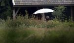 Eefde 12 augustus 2021
Matthijs v Nieuwkerk en zijn vriendin Martha Riemsma vieren vakantie bij het vakantiehuis van Matthijs