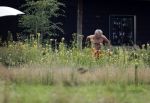 Eefde 12 augustus 2021
Matthijs v Nieuwkerk en zijn vriendin Martha Riemsma vieren vakantie bij het vakantiehuis van Matthijs
