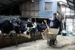 Hieslum 27 augustus 2021
Rogier Smit op een boerderij in Friesland . Ook zijn hond Brownie is natuurlijk mee.