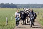 Ruinerwold 3 augustus 2022
Boer Evert met zijn nieuwe vriendin Maud bij zijn boerderij . Matthijs Albers was mee.