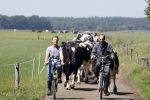 Ruinerwold 3 augustus 2022
Boer Evert met zijn nieuwe vriendin Maud bij zijn boerderij . Matthijs Albers was mee.
