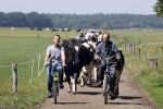 Ruinerwold 3 augustus 2022
Boer Evert met zijn nieuwe vriendin Maud bij zijn boerderij . Matthijs Albers was mee.