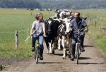 Ruinerwold 3 augustus 2022
Boer Evert met zijn nieuwe vriendin Maud bij zijn boerderij . Matthijs Albers was mee.