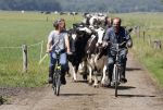 Ruinerwold 3 augustus 2022
Boer Evert met zijn nieuwe vriendin Maud bij zijn boerderij . Matthijs Albers was mee.
