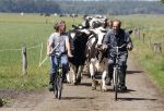 Ruinerwold 3 augustus 2022
Boer Evert met zijn nieuwe vriendin Maud bij zijn boerderij . Matthijs Albers was mee.