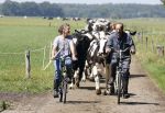 Ruinerwold 3 augustus 2022
Boer Evert met zijn nieuwe vriendin Maud bij zijn boerderij . Matthijs Albers was mee.