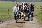 Ruinerwold 3 augustus 2022
Boer Evert met zijn nieuwe vriendin Maud bij zijn boerderij . Matthijs Albers was mee.