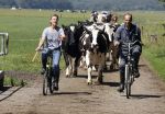 Ruinerwold 3 augustus 2022
Boer Evert met zijn nieuwe vriendin Maud bij zijn boerderij . Matthijs Albers was mee.