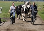 Ruinerwold 3 augustus 2022
Boer Evert met zijn nieuwe vriendin Maud bij zijn boerderij . Matthijs Albers was mee.
