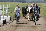 Ruinerwold 3 augustus 2022
Boer Evert met zijn nieuwe vriendin Maud bij zijn boerderij . Matthijs Albers was mee.