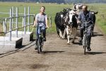 Ruinerwold 3 augustus 2022
Boer Evert met zijn nieuwe vriendin Maud bij zijn boerderij . Matthijs Albers was mee.