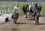 Ruinerwold 3 augustus 2022
Boer Evert met zijn nieuwe vriendin Maud bij zijn boerderij . Matthijs Albers was mee.
