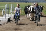 Ruinerwold 3 augustus 2022
Boer Evert met zijn nieuwe vriendin Maud bij zijn boerderij . Matthijs Albers was mee.