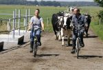 Ruinerwold 3 augustus 2022
Boer Evert met zijn nieuwe vriendin Maud bij zijn boerderij . Matthijs Albers was mee.
