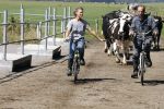 Ruinerwold 3 augustus 2022
Boer Evert met zijn nieuwe vriendin Maud bij zijn boerderij . Matthijs Albers was mee.