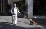 Amsterdam 12 september 2022
Frans Mulder met zijn hond in amsterdam zuid