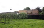Haarzuilens Amsterdam 3 augustus 2023
De huizen van Ivo Niehe en zijn vrouw en zoons.
De nieuwe boerderij die verbouwd wordt in Haarzuilens