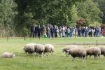 Gelderland 31 augustus 2023
Koning Willem Alexander en Koningin Maxima bij streekbezoek in provincie Gelderland .