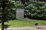 Lage Vuursche 28 juli 2023
Palijs Drakensteyn van prinss Beatrix . De poort is geschilderd en in de tuin staan hekken met donkee doeken voor privacy . Op de begraafplaats naat het kasteel ligt het graf van Prins Friso waar struiken omheen zijn gezet.