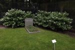 Lage Vuursche 28 juli 2023
Palijs Drakensteyn van prinss Beatrix . De poort is geschilderd en in de tuin staan hekken met donkee doeken voor privacy . Op de begraafplaats naat het kasteel ligt het graf van Prins Friso waar struiken omheen zijn gezet.