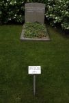 Lage Vuursche 28 juli 2023
Palijs Drakensteyn van prinss Beatrix . De poort is geschilderd en in de tuin staan hekken met donkee doeken voor privacy . Op de begraafplaats naat het kasteel ligt het graf van Prins Friso waar struiken omheen zijn gezet.