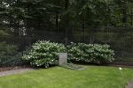 Lage Vuursche 28 juli 2023
Palijs Drakensteyn van prinss Beatrix . De poort is geschilderd en in de tuin staan hekken met donkee doeken voor privacy . Op de begraafplaats naat het kasteel ligt het graf van Prins Friso waar struiken omheen zijn gezet.