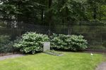 Lage Vuursche 28 juli 2023
Palijs Drakensteyn van prinss Beatrix . De poort is geschilderd en in de tuin staan hekken met donkee doeken voor privacy . Op de begraafplaats naat het kasteel ligt het graf van Prins Friso waar struiken omheen zijn gezet.
