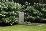 Lage Vuursche 28 juli 2023
Palijs Drakensteyn van prinss Beatrix . De poort is geschilderd en in de tuin staan hekken met donkee doeken voor privacy . Op de begraafplaats naat het kasteel ligt het graf van Prins Friso waar struiken omheen zijn gezet.