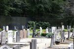 Lage Vuursche 28 juli 2023
Palijs Drakensteyn van prinss Beatrix . De poort is geschilderd en in de tuin staan hekken met donkee doeken voor privacy . Op de begraafplaats naat het kasteel ligt het graf van Prins Friso waar struiken omheen zijn gezet.