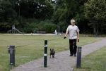 Blaricum 24 augustus 2024
Gordon laat zijn twee hondjes uit.