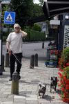 Blaricum 24 augustus 2024
Gordon laat zijn twee hondjes uit.