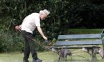Blaricum 24 augustus 2024
Gordon laat zijn twee hondjes uit.