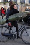 Amsterdam 15 december 2015 
Paula v d Oest met kerstboom vondelpark CS
