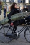 Amsterdam 15 december 2015 
Paula v d Oest met kerstboom vondelpark CS