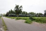 Breukelen 4 augustus 2025
Op deze plek heeft Rick Brandsteder een ongeluk gehad terwijl hij gedronken zou hebben