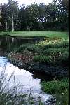 14 September 1999
DRUIDS GLEN Golfclub
Ierland Golfen