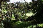 14 September 1999
DRUIDS GLEN Golfclub
Ierland Golfen