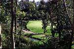 14 September 1999
DRUIDS GLEN Golfclub
Ierland Golfen