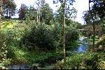 14 September 1999
DRUIDS GLEN Golfclub
Ierland Golfen